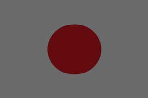 �ձ����ר��